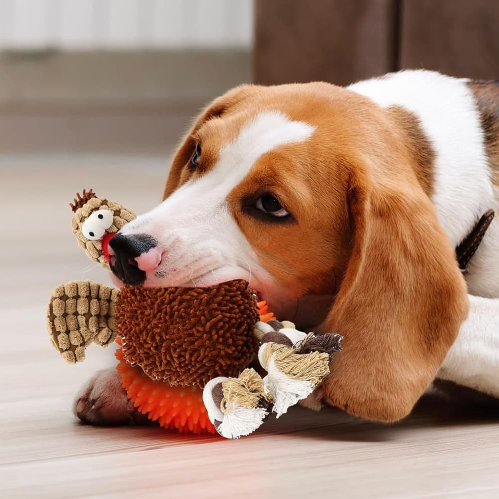 Pets Gigglers Chicken—Dog Toy