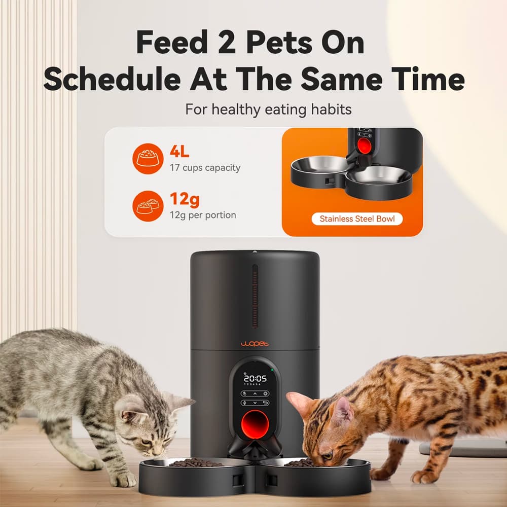 Distributeur de nourriture pour chien avec minuterie
